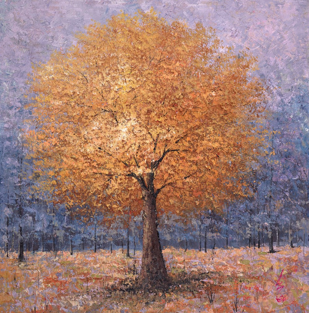 Autumnul Woodland