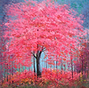 Woodland Wonder