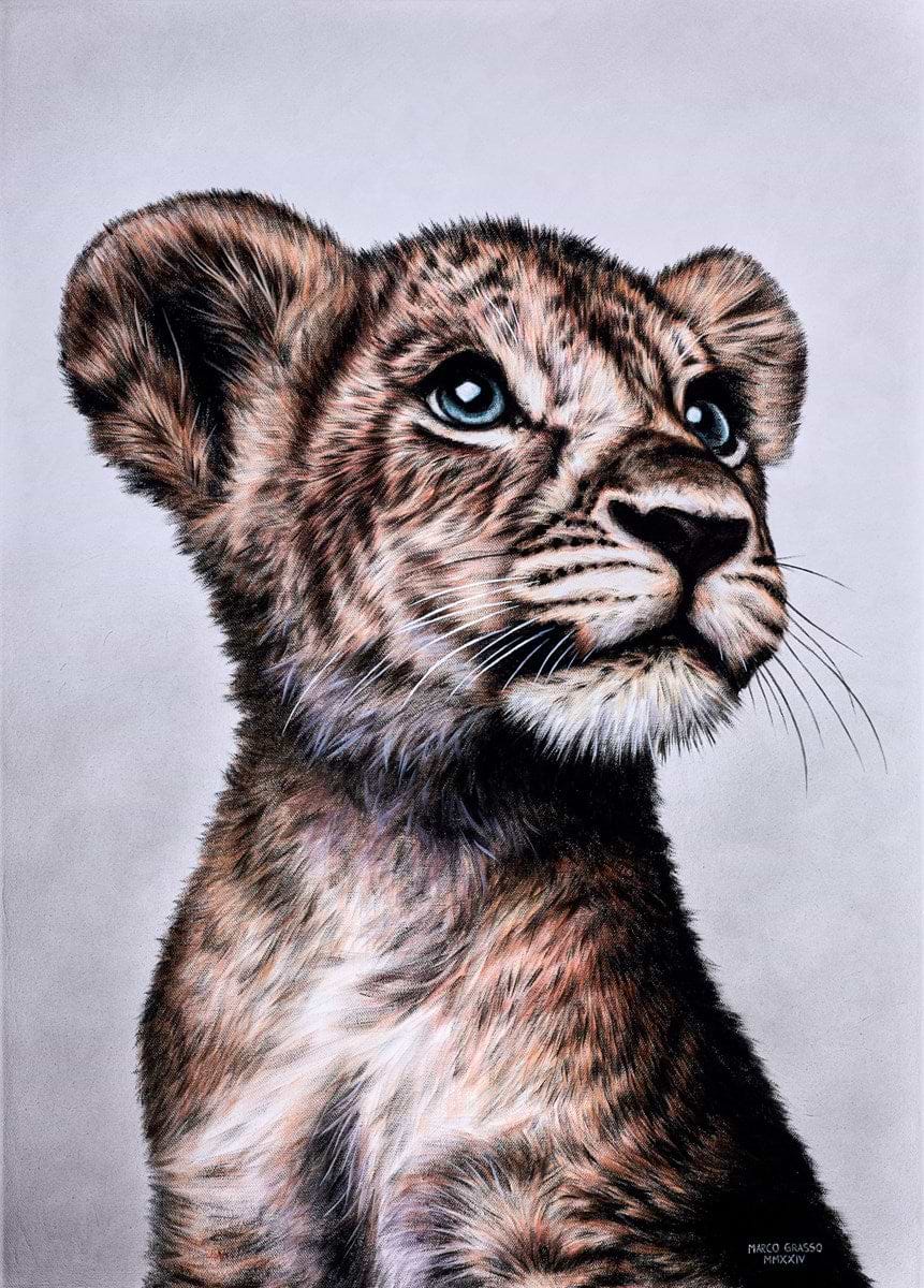How To Draw A Lion Cub how-to-draw-a-lion-cub
