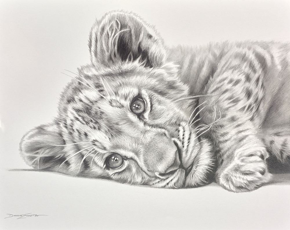 Born To Roar