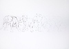 Walking Elephant Study II