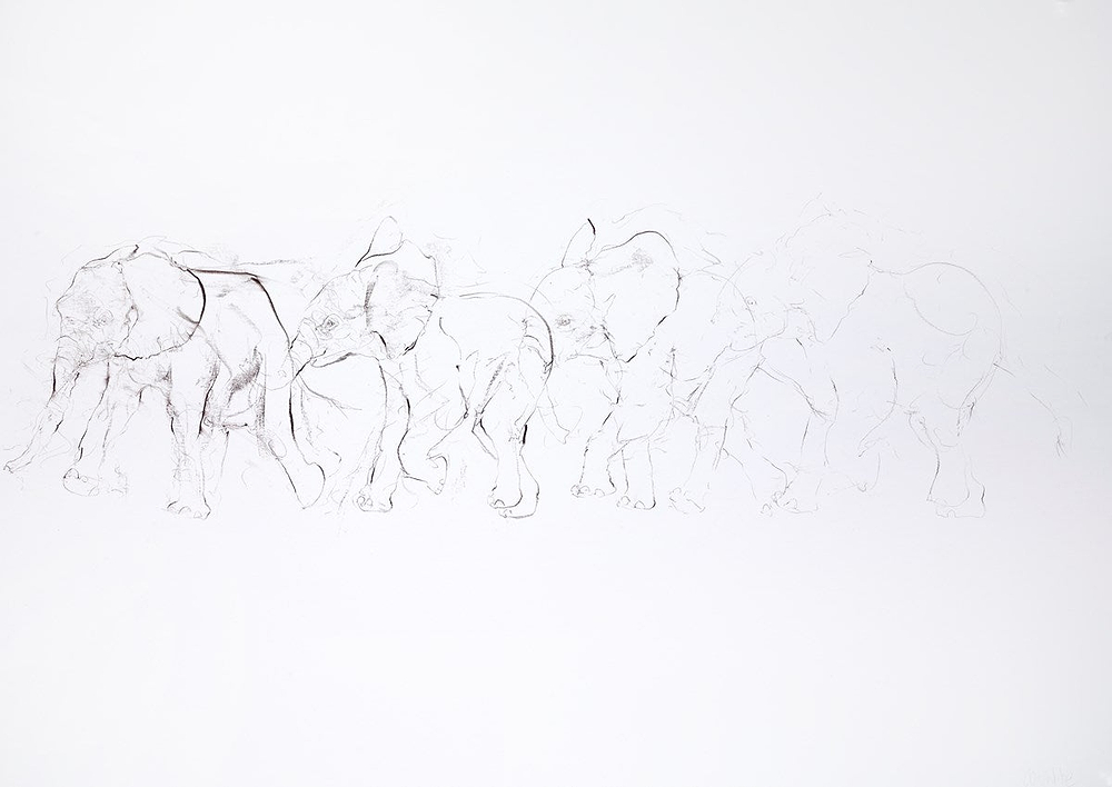 Walking Elephant Study II
