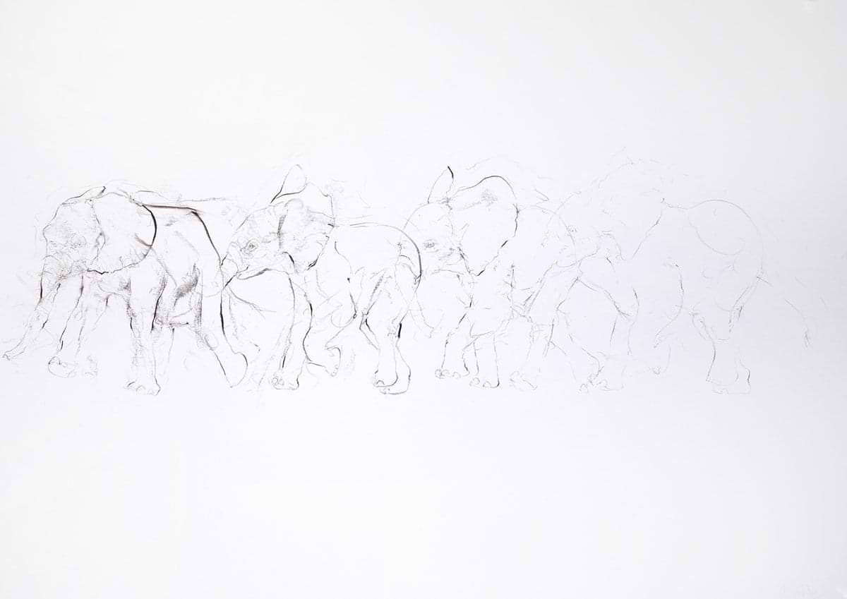 Walking Elephant Study II