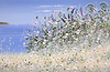 Floral Tranquility II