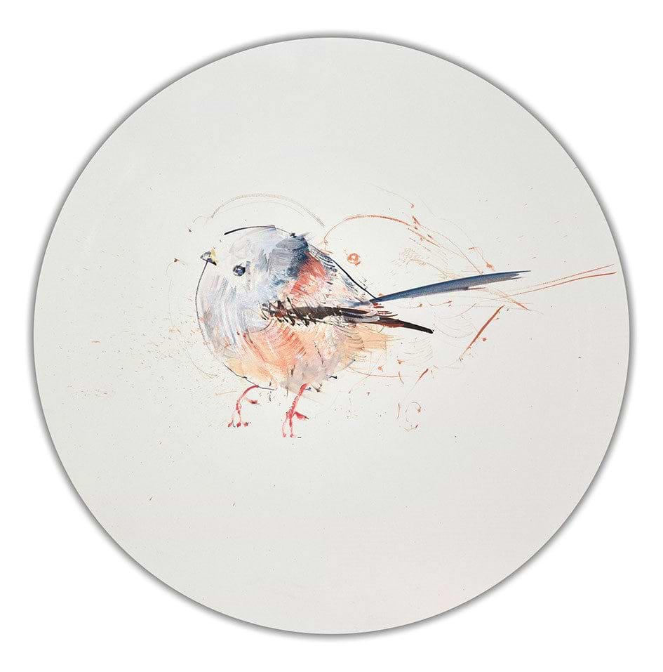Long Tailed Tit Study IV