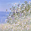 Wildflowers by the Coast II