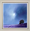 Lavender Splendour (Framed)