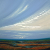Wetlands