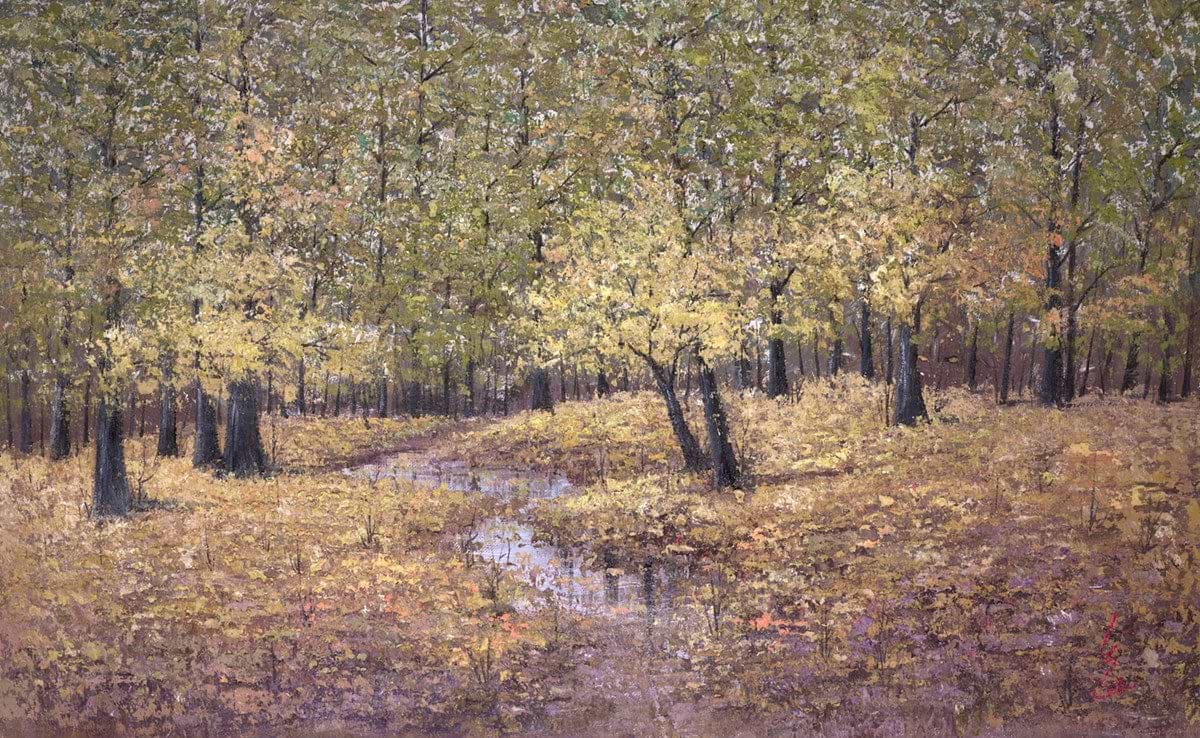 Autumnul Forest