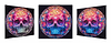 Cranium Colour