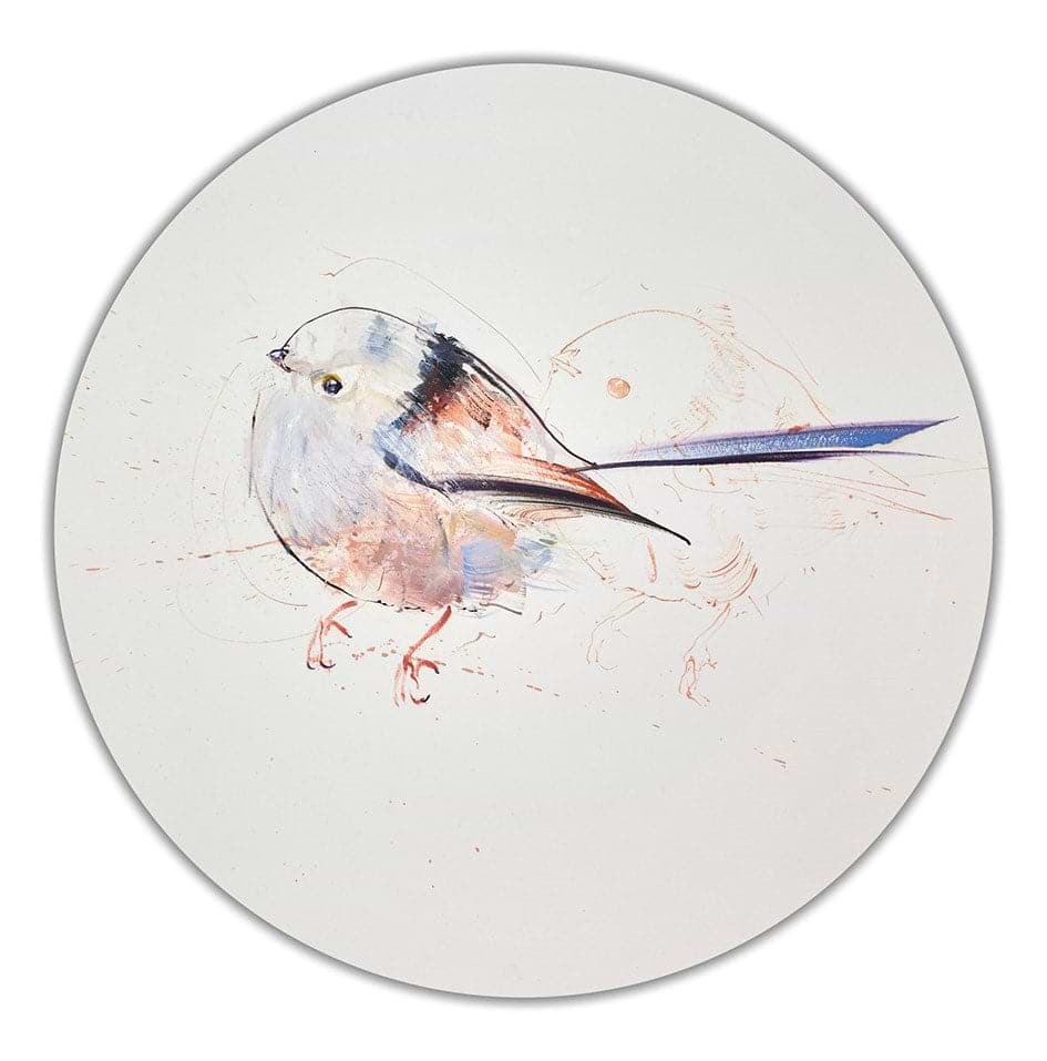 Long Tailed Tit II