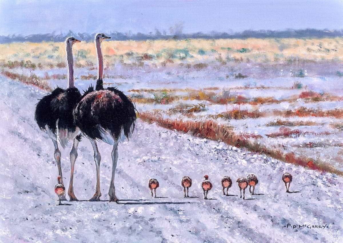 Family Outing