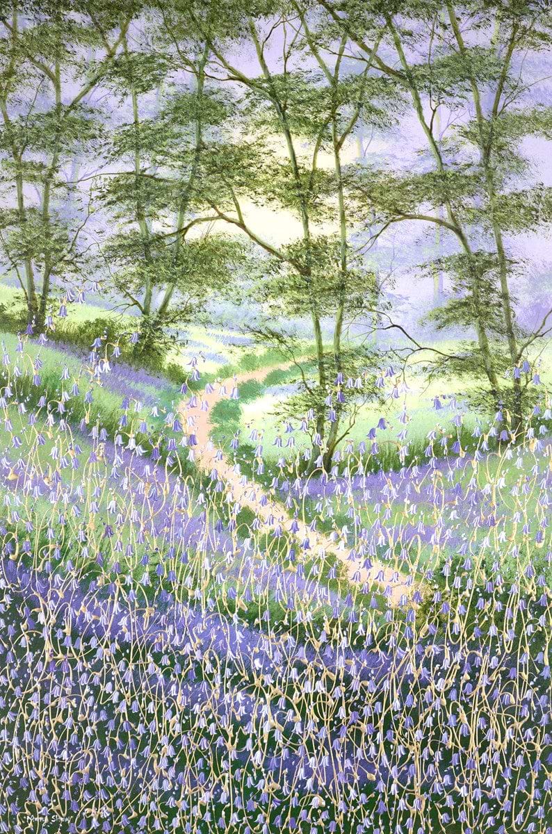 Where Bluebell's Grow