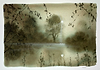 Forever (Study)