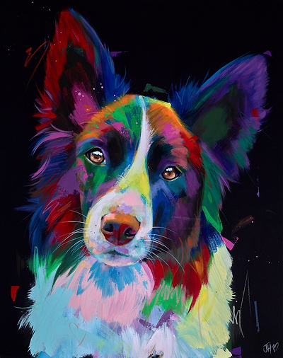 A Collies Love