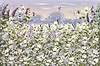 Flowers and a Fieldmouse