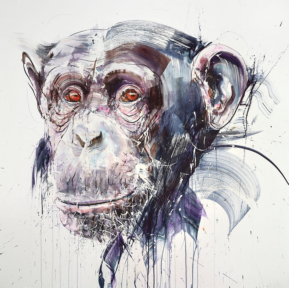 Wise II