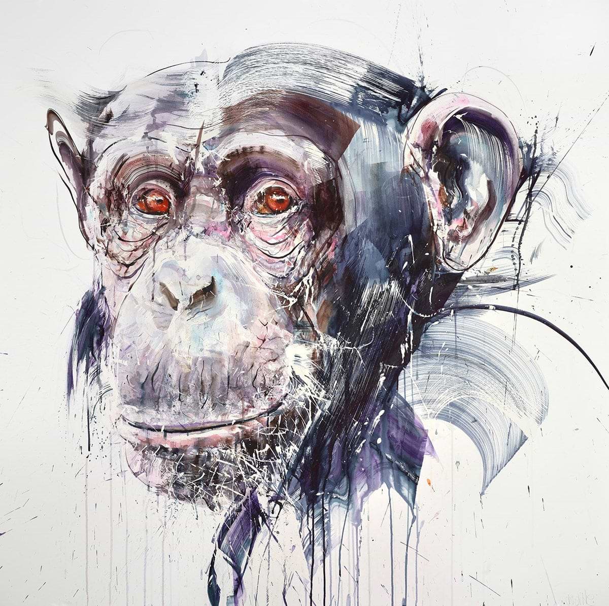 Wise II