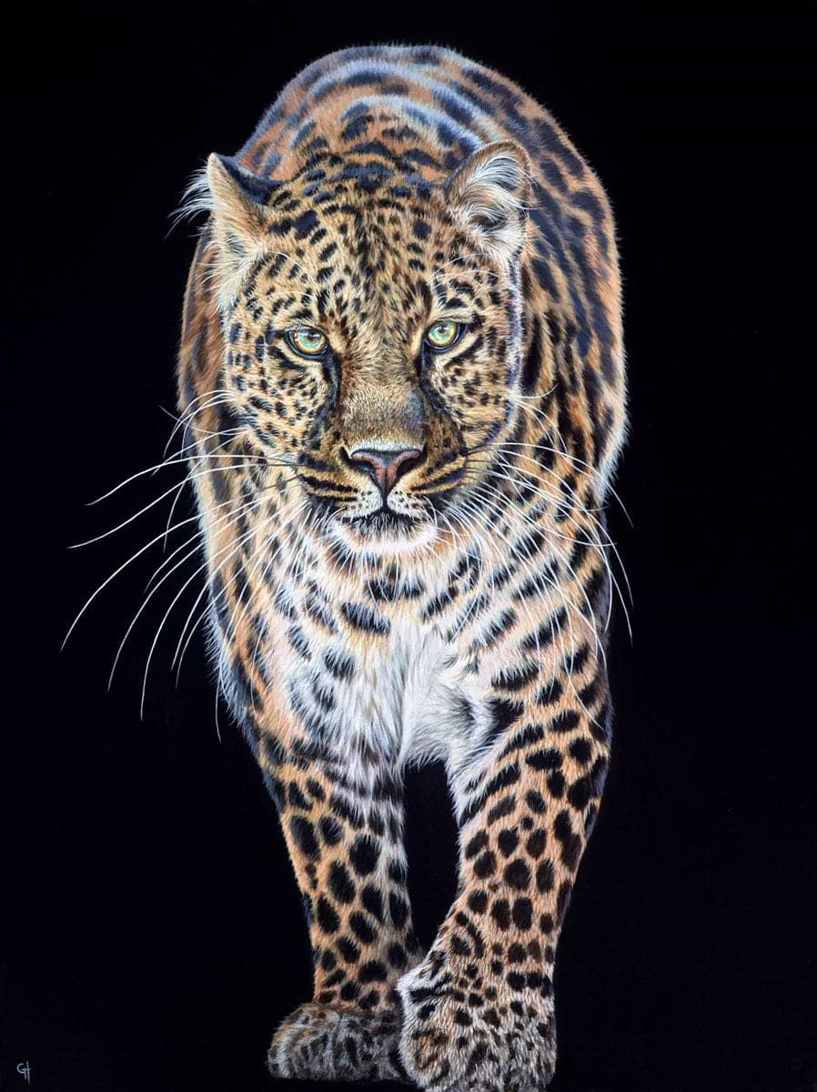 Prowling Leopard