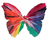 Butterfly Spin
