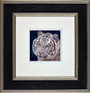 White Wonder (Framed)