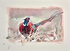Pheasant