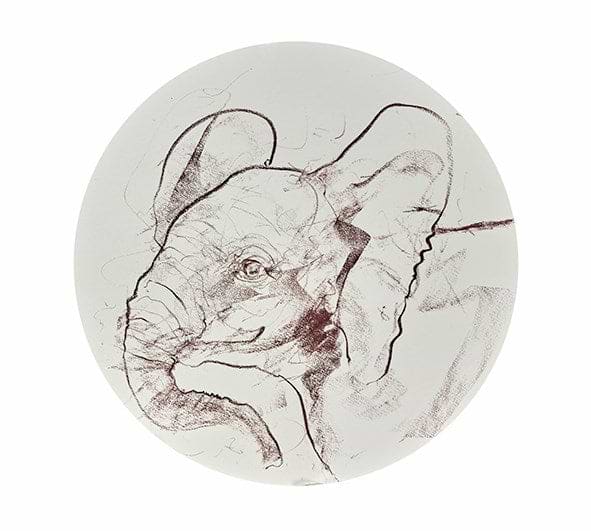 Young Elephant Sketch XV
