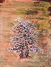 Tiger Blossom