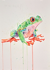 Tree Frog III