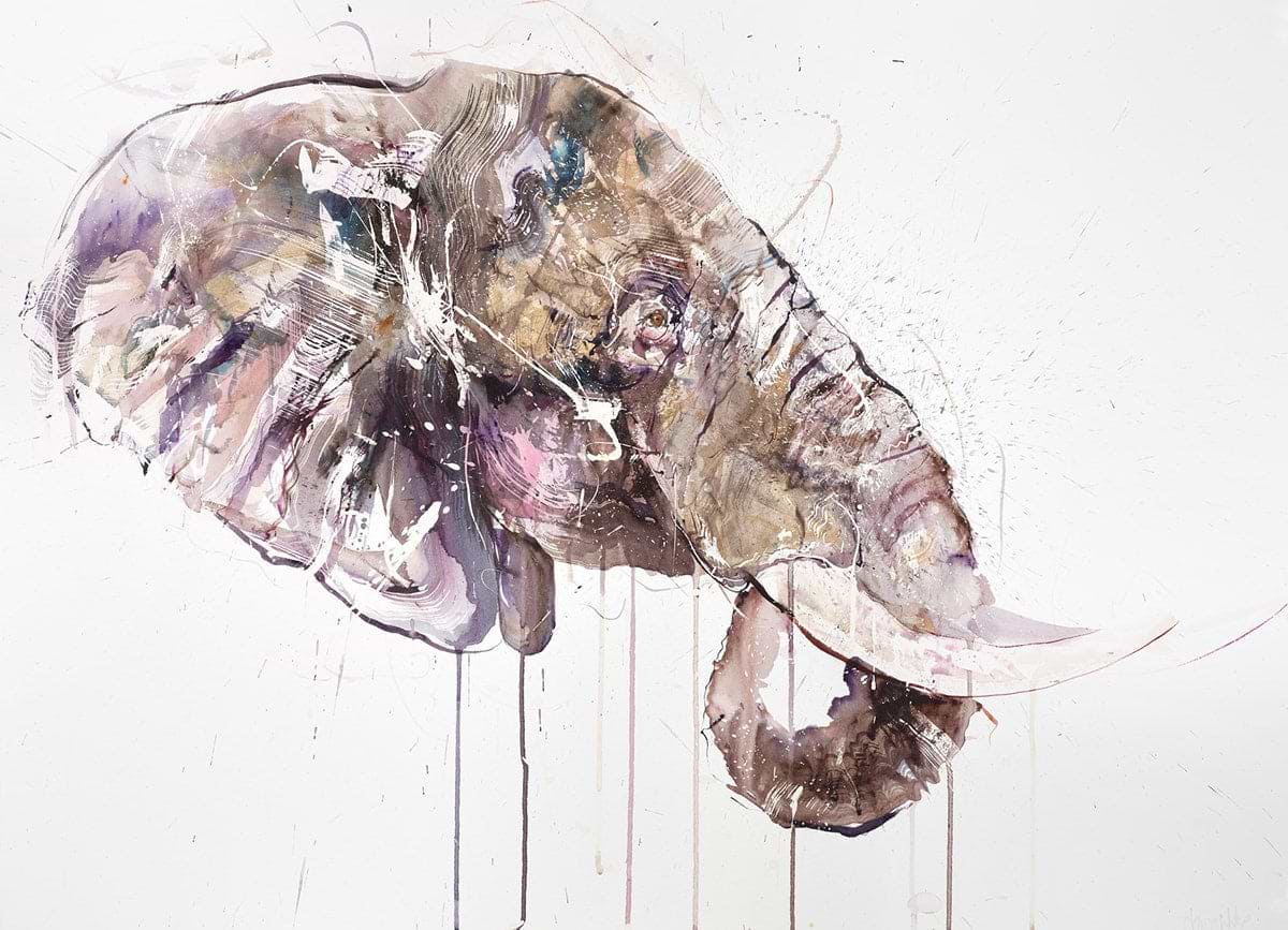 African Bull II