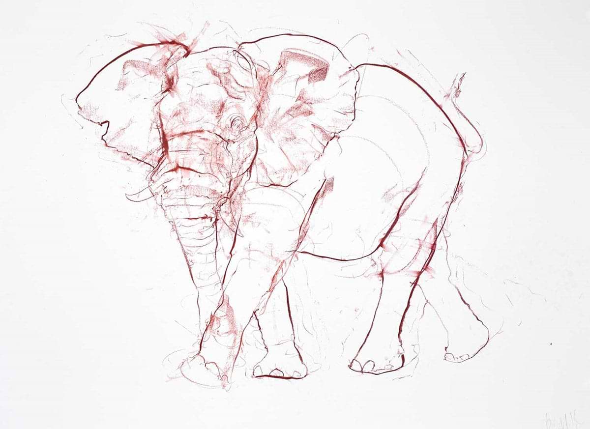 Elephant Sketch III
