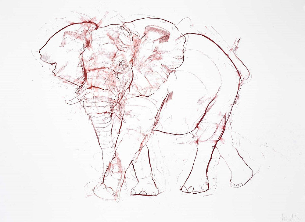 Elephant Sketch III