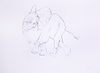 Young Elephant Sketch XI