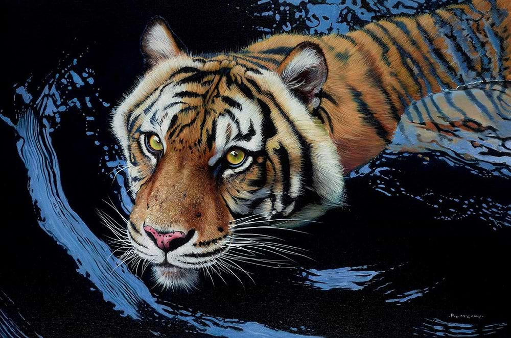 Tiger Trouble | Pip McGarry - Clarendon Fine Art