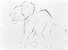Elephant Study XIII