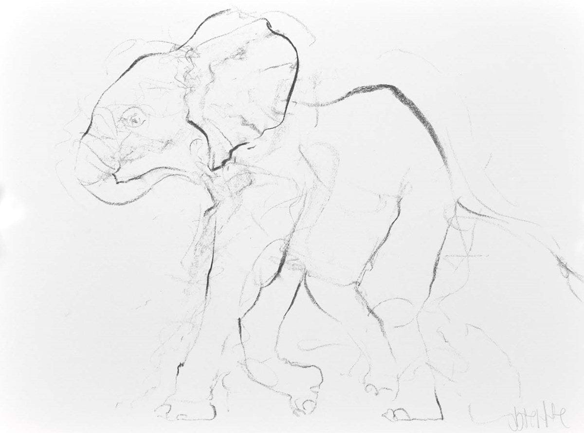 Elephant Study XIII