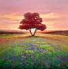 Amanece