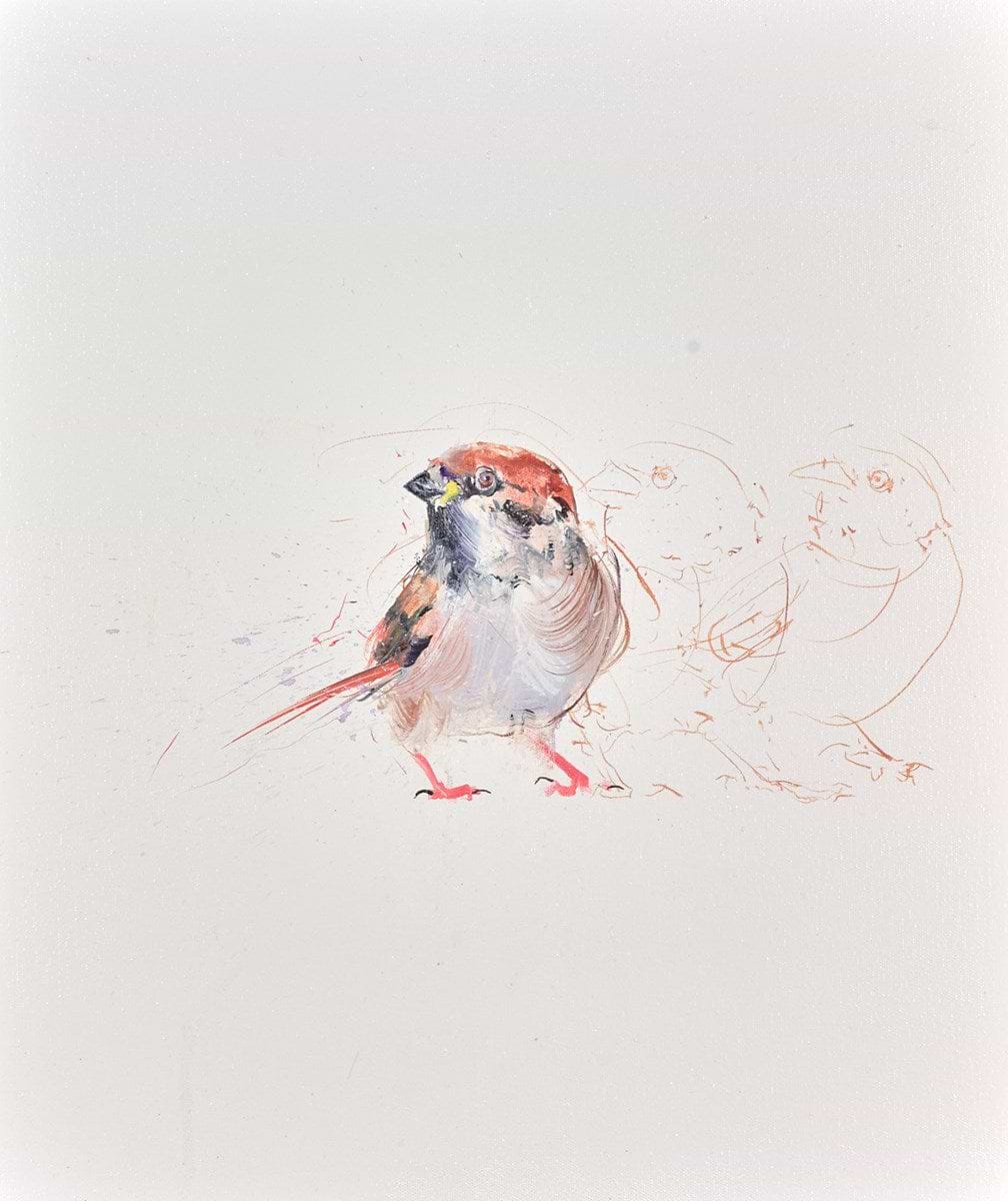 Sparrow