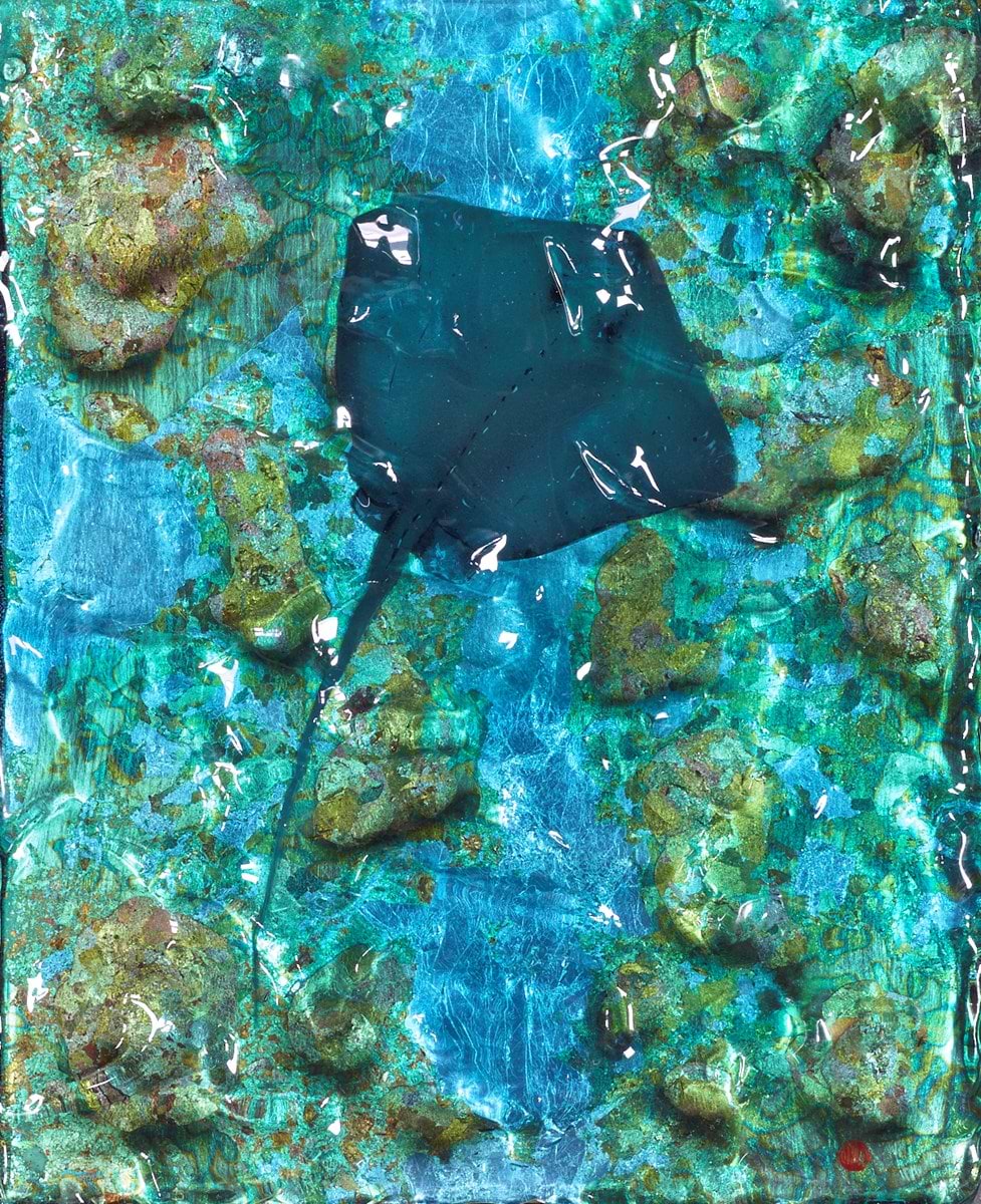 Stingrays Reef