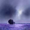Moods of Lavender