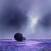 Moods of Lavender