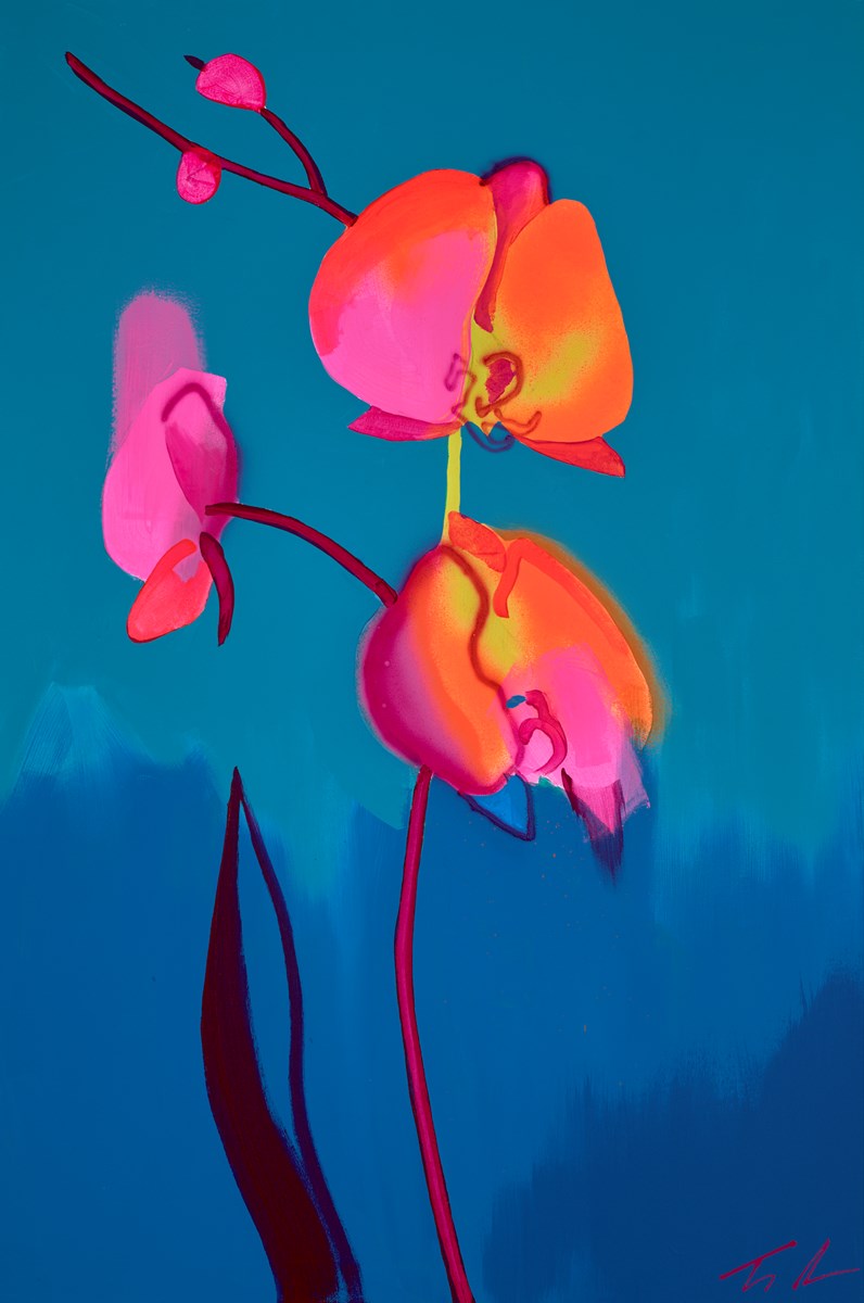 Orange Orchid