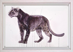 Panther (Framed)