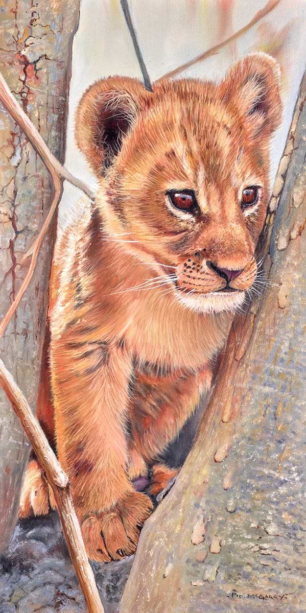 Lion Cub In Tree