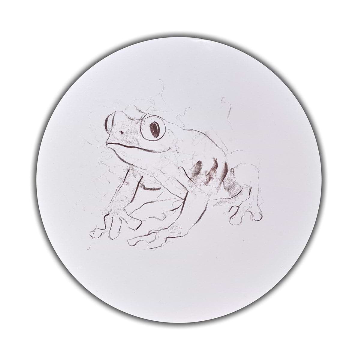Tree Frog Study IV