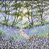 Bluebell Bloom V