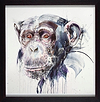 Wise II (Framed)