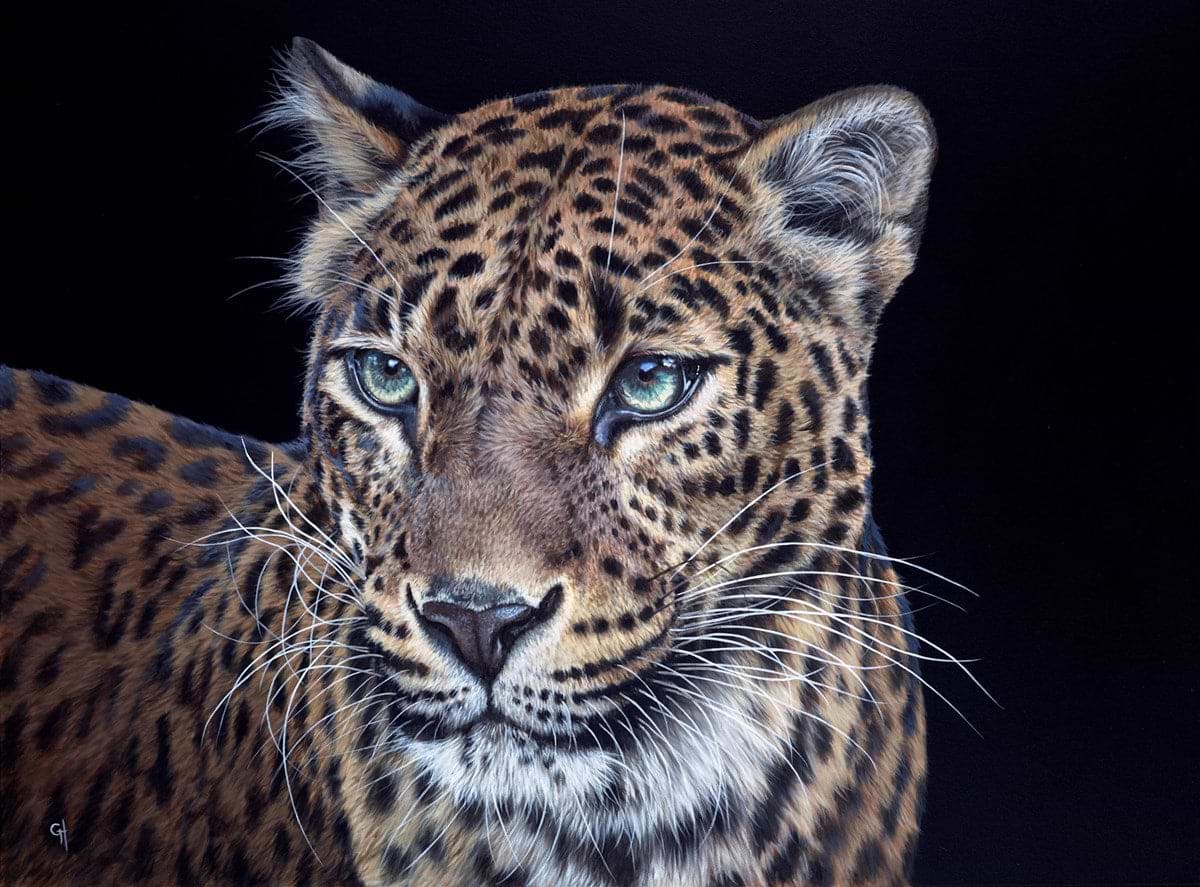 Intensity