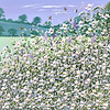 Countryside Delight II