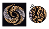 Spiral